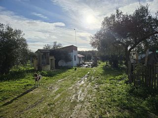 Casa rural en venta en Pilas