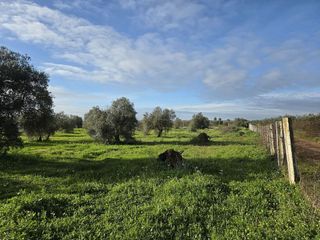Casa rural en venta en Pilas