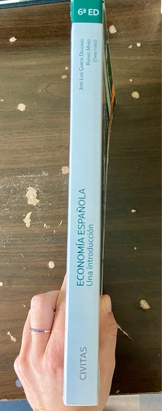 Economía española. Una introducción (Papel + e-...