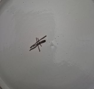 Piatti decorativi (4) Santarelli, Gualdo Tadino