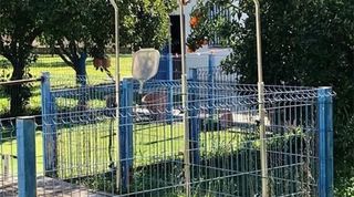 Chalet en venta en Sanlúcar la Mayor