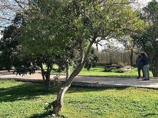 Chalet en venta en Sanlúcar la Mayor