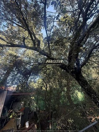 Casa rural en venta en El Higuerón en Córdoba