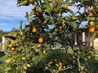 Casa en venta en Carmona