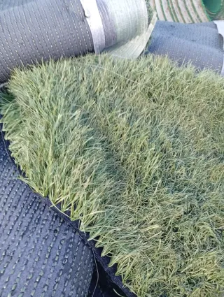 Césped artificial
