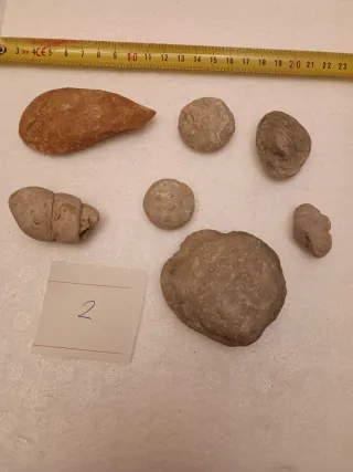 Fósiles de piedra