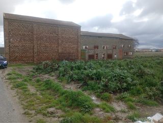 Terreno 11 marjales con secadero