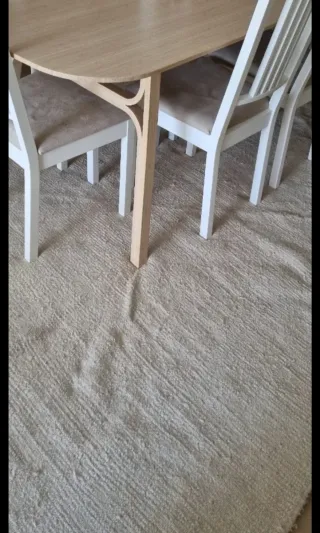 Alfombra Lana Grande Beige/Blanco 300x220