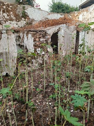 Casa pareada en venta en Mijas pueblo en Mijas