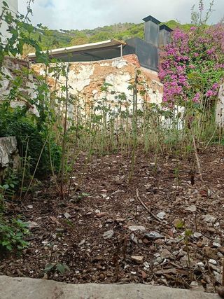 Casa pareada en venta en Mijas pueblo en Mijas