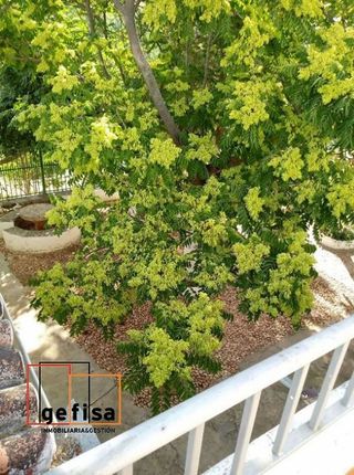 Chalet en venta en Valdepeñas