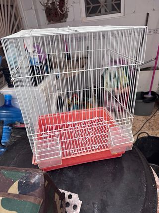 Jaula para pájaros naranja y plateada