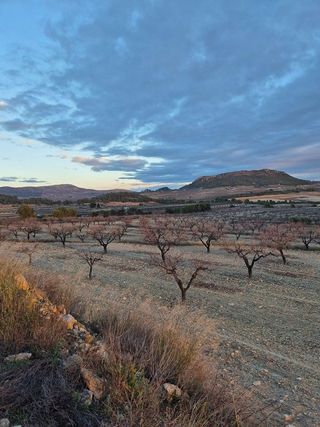 Casa en venta en Bullas