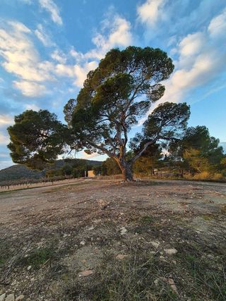 Casa en venta en Bullas