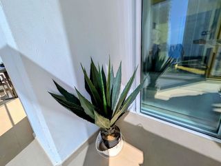 Piso en venta en Playa de Poniente en Benidorm