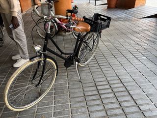 Bicicleta Paseo Capri Negra, Tiene un radio roto.