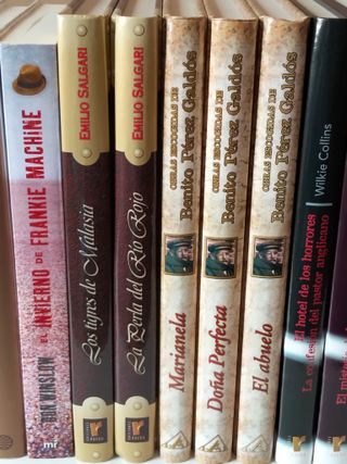 LOTE DE 15 LIBROS VARIOS