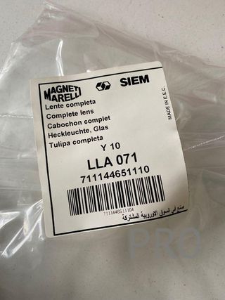 Tulipa Lancia y 10  LLA071 nuevo