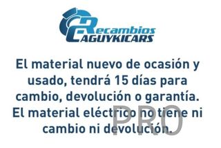 Tulipa Lancia y 10  LLA071 nuevo