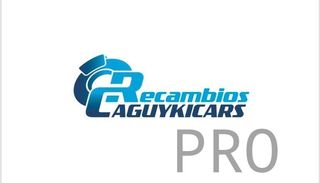 Tulipa Lancia y 10  LLA071 nuevo