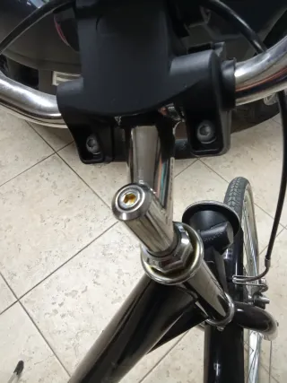 Bicicleta da donna Elops 1