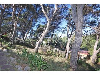 Chalet en venta en Turís