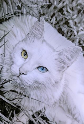 Retratos por encargo a lápiz