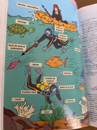 Diccionario Nivel Básico - Primaria (Spanish Ed...