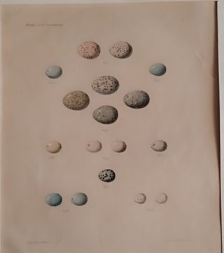 Stampe astratte Arte Moderna e Contemporanea