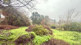 Chalet en venta en Universidad en Ourense