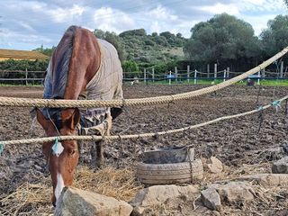 Casa rural en venta en Casco Antiguo en Algeciras