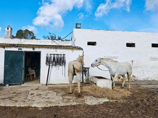 Casa rural en venta en Casco Antiguo en Algeciras