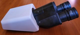 Nikon Testa Binoculare Microscopio Ottico