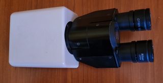 Nikon Testa Binoculare Microscopio Ottico