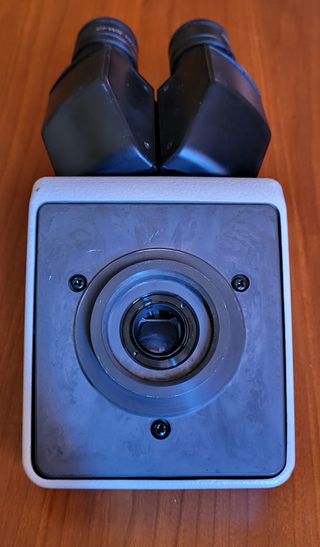 Nikon Testa Binoculare Microscopio Ottico