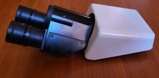 Nikon Testa Binoculare Microscopio Ottico