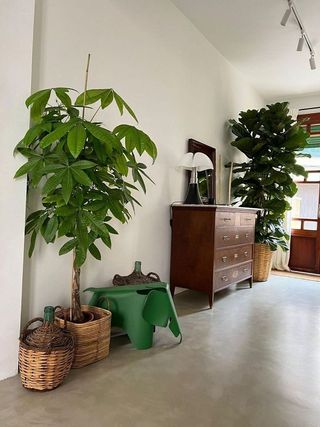 Casa en venta en Capdepera