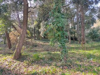 Terreno en alquiler en Sant Pere de Vilamajor