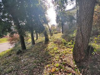 Terreno en alquiler en Sant Pere de Vilamajor