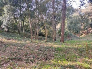 Terreno en alquiler en Sant Pere de Vilamajor