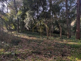 Terreno en alquiler en Sant Pere de Vilamajor