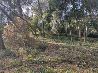 Terreno en alquiler en Sant Pere de Vilamajor