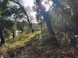 Terreno en alquiler en Sant Pere de Vilamajor