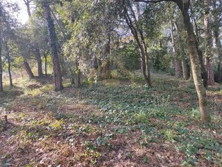 Terreno en alquiler en Sant Pere de Vilamajor