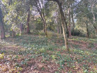 Terreno en alquiler en Sant Pere de Vilamajor