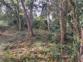Terreno en alquiler en Sant Pere de Vilamajor