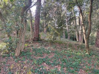 Terreno en alquiler en Sant Pere de Vilamajor