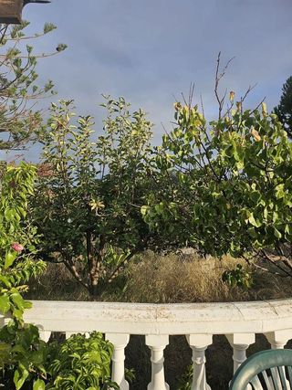 Casa rural en venta en Calahonda en Mijas