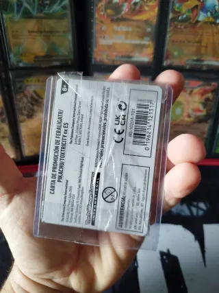 ✨ Cartas Pokémon Illustration Contest 2024 – Promo