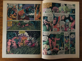 Conan the Barbarian #13 /Marvel (1972) 1ra Edición